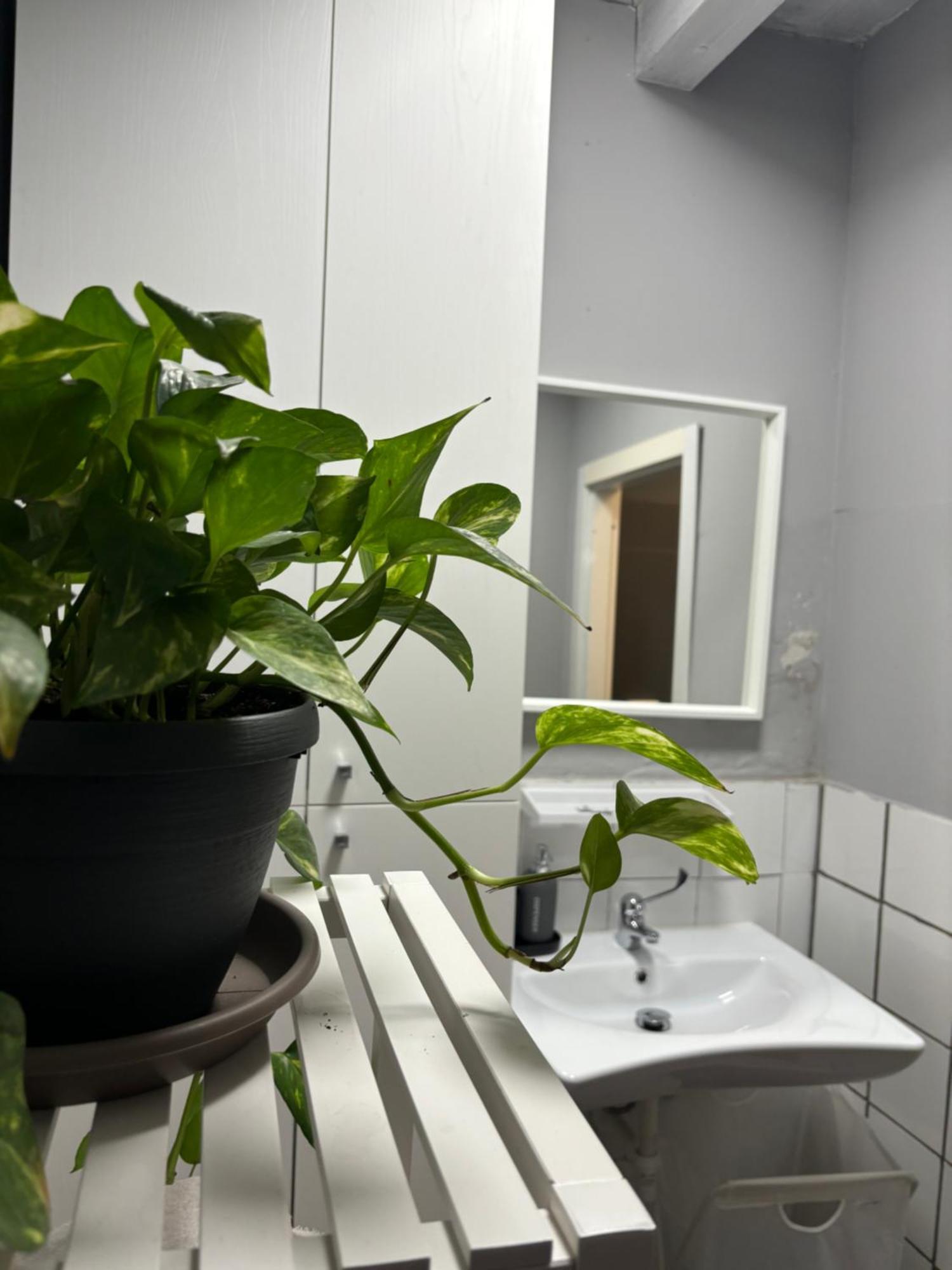 Capitolium Ad Bed & Breakfast Brescia Exterior foto